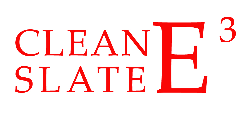CSE3 Logo